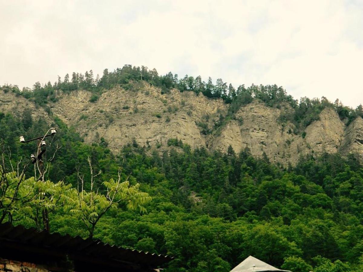 Erik'S Guest House Borjomi Ngoại thất bức ảnh